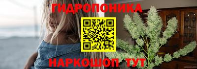 не бодяженный Кингисепп