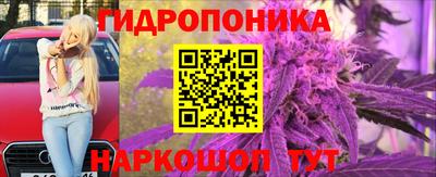 винт Кимры