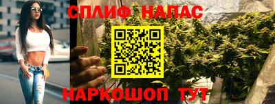 PSILOCYBIN Кинель