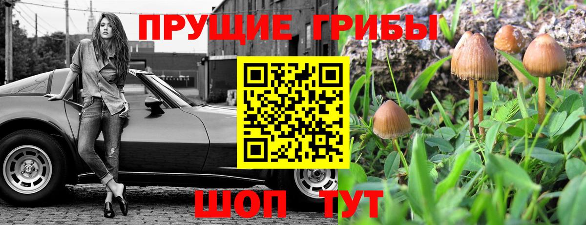 Галлюциногенные грибы Cubensis  Вход с VPN  Волжск 